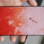 Kırmızı Galaxy S10 ortaya çıktı!